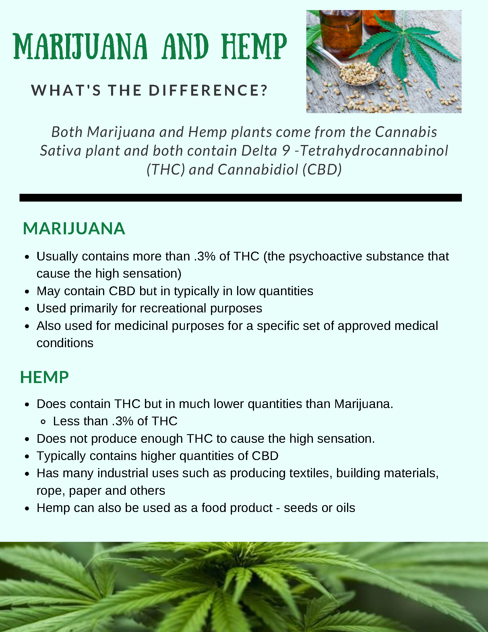 Marijuana, Hemp, CBD_1